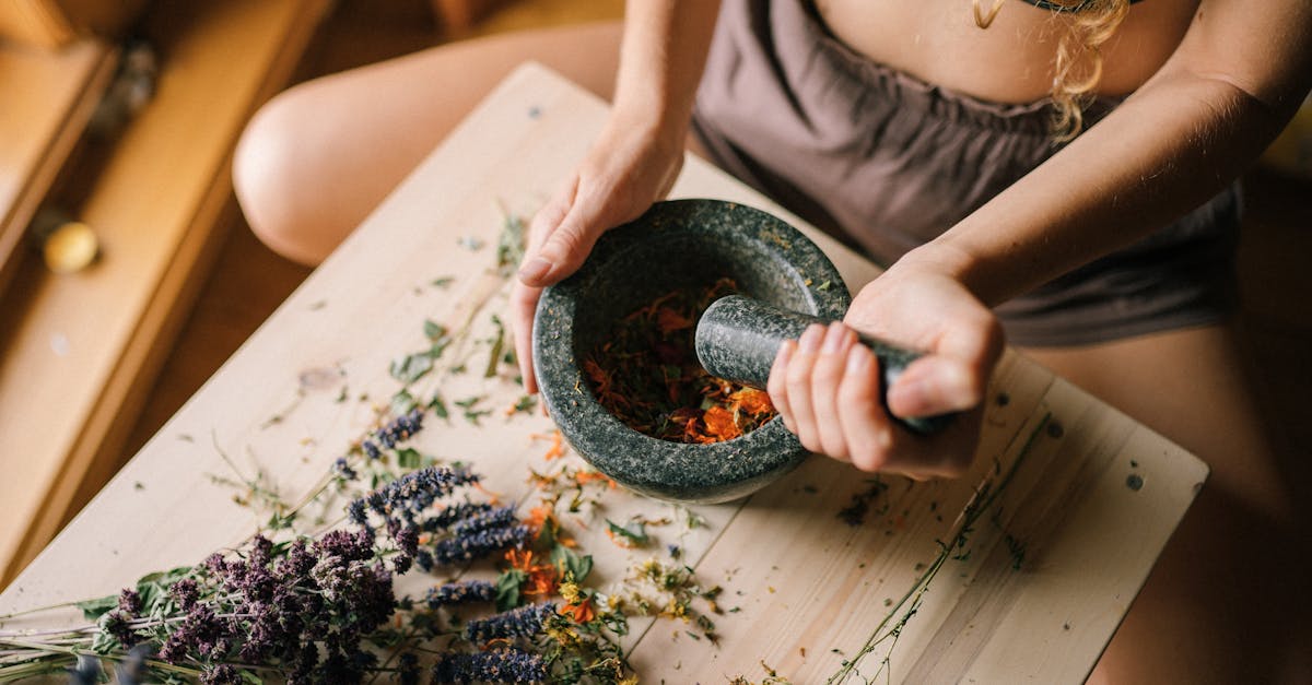 découvrez des remèdes naturels efficaces pour améliorer votre santé et bien-être. profitez de solutions alternatives et douces pour apaiser les maux du quotidien grâce à la médecine douce.