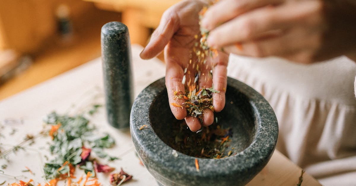 découvrez des remèdes naturels efficaces et sûrs pour améliorer votre bien-être au quotidien. explorez des solutions à base de plantes, d'huiles essentielles et d'autres ingrédients naturels pour soulager divers maux et promouvoir une santé optimale.