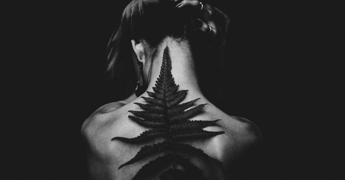 La splendeur du piercing : un art corporel éblouissant