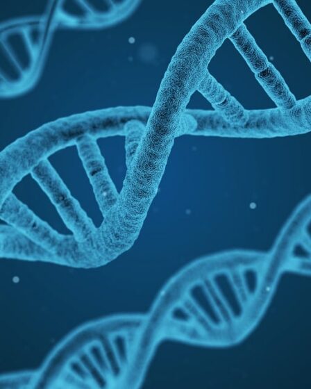 découvrez tout sur le piercing helix : style, soins, conseils et tendances pour sublimer votre oreille avec ce bijou tendance.