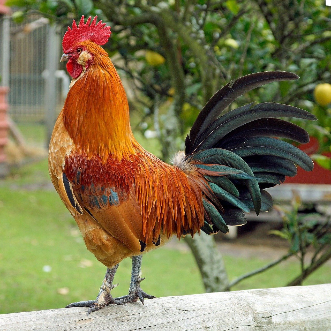 découvrez notre gamme d'earlobe stretchers pour étirer vos lobes d'oreilles en douceur et style. adaptés à tous les niveaux, ils allient confort et esthétique.